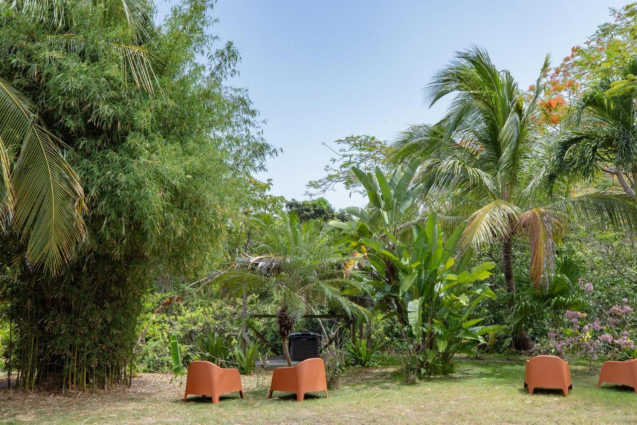 Vieques Tropical Guest House Exterior photo