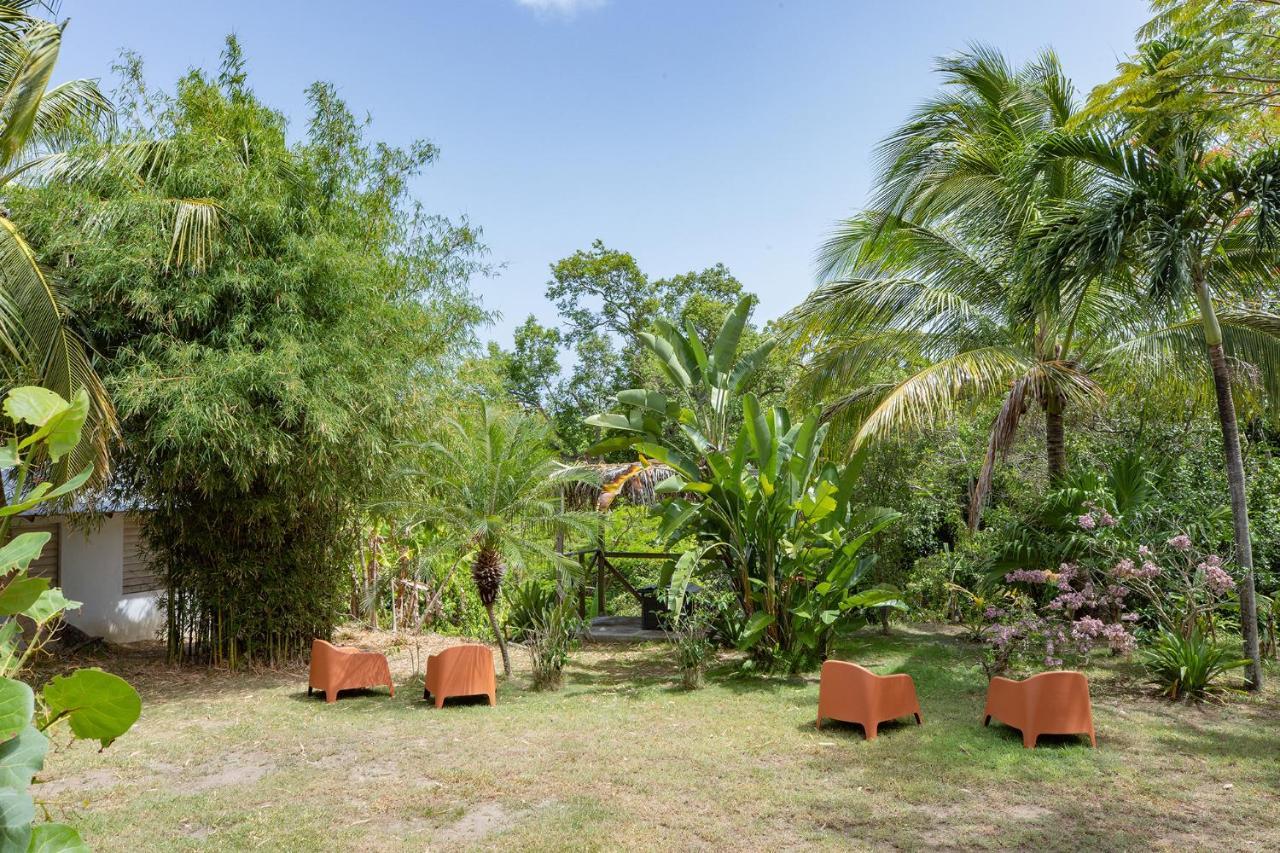 Vieques Tropical Guest House Exterior photo